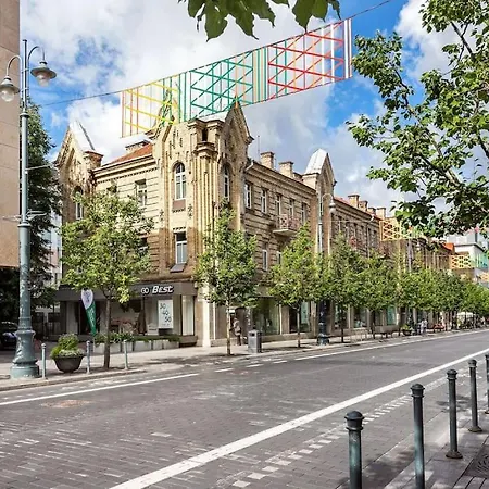 Апартаменты Luxury In Gedimino Av.