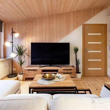 Luxury In Gedimino Av. *