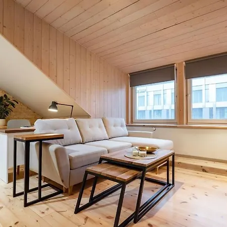 Apartment Luxury In Gedimino Av.
