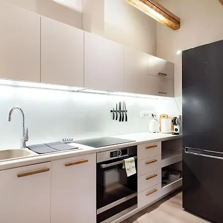 Luxury In Gedimino Av. Apartment