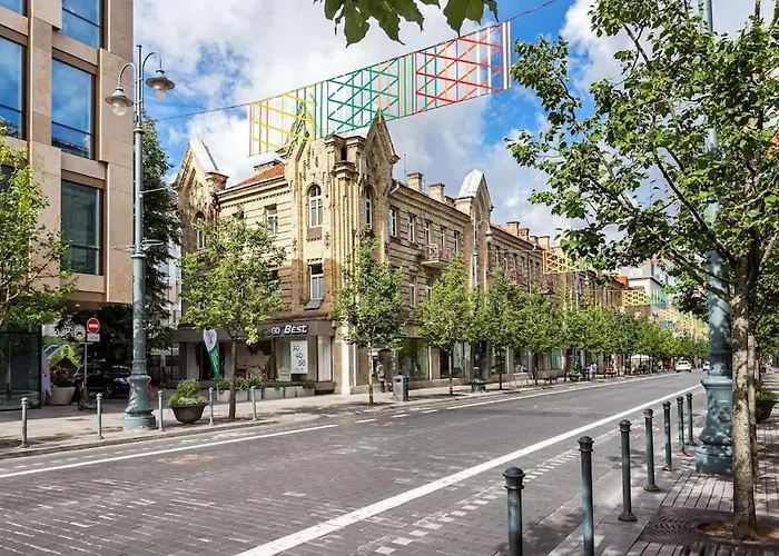 Apartament Luxury In Gedimino Av.