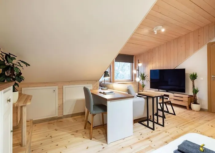 Lägenhet Luxury In Gedimino Av. *