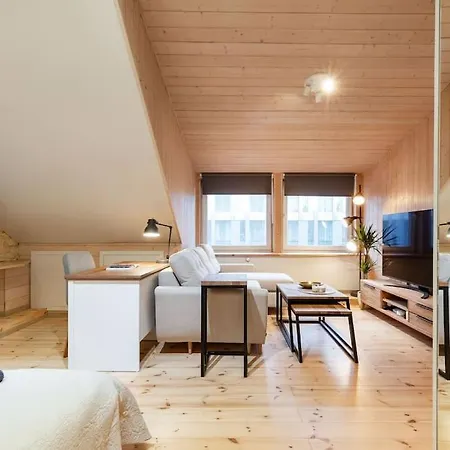 Luxury In Gedimino Av. 维尔纽斯