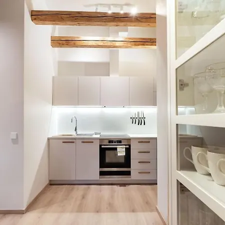 Luxury In Gedimino Av. 维尔纽斯