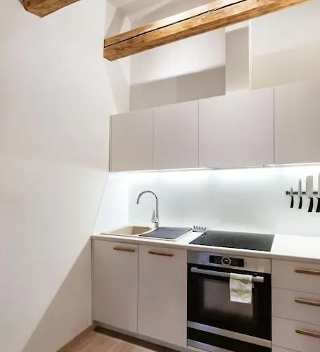 Luxury In Gedimino Av. *